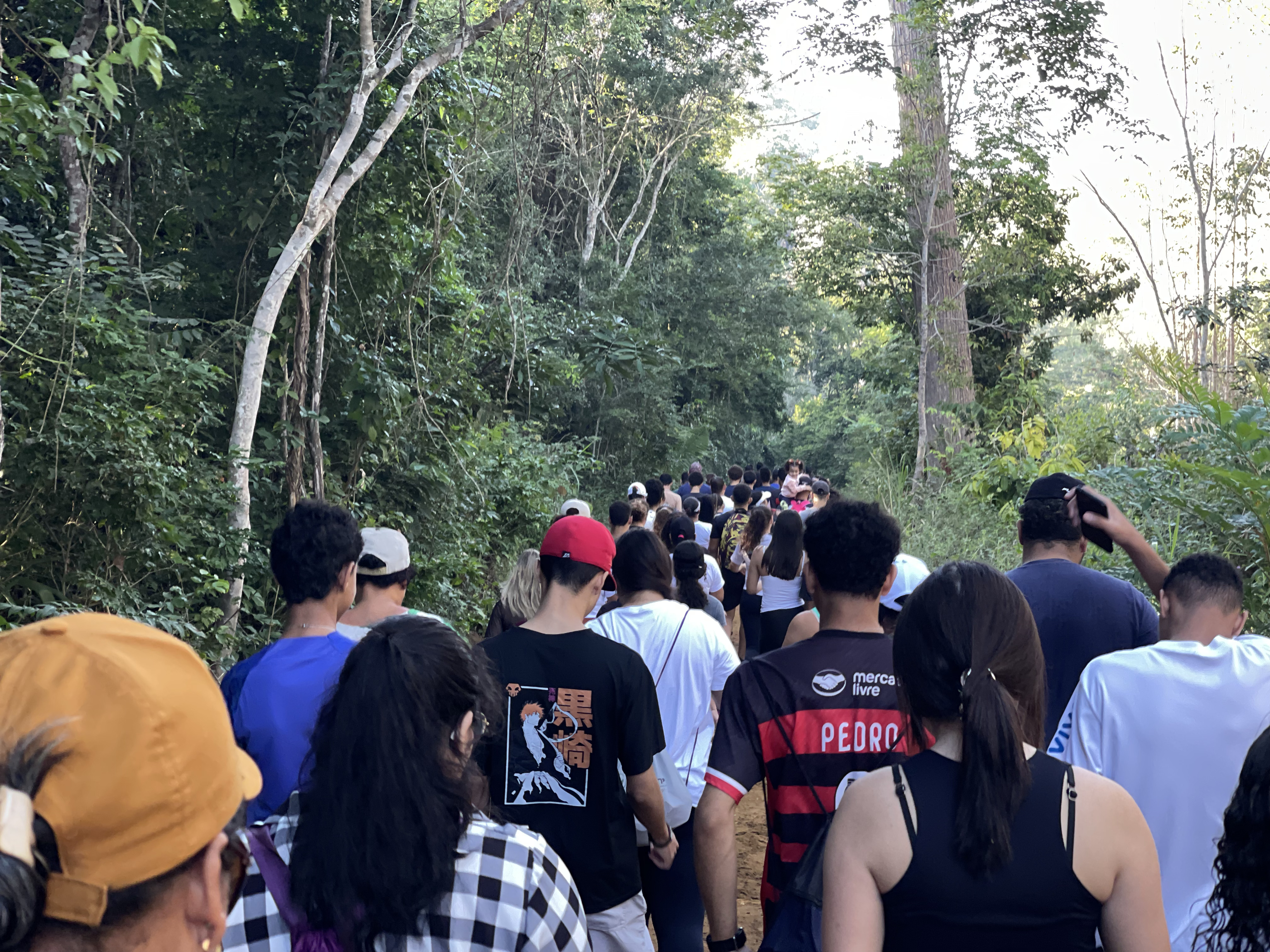 Caminhada Ecológica na Rebio Córrego do Veado bate recorde de público